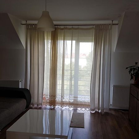 Cluj Lux Apartments 外观 照片